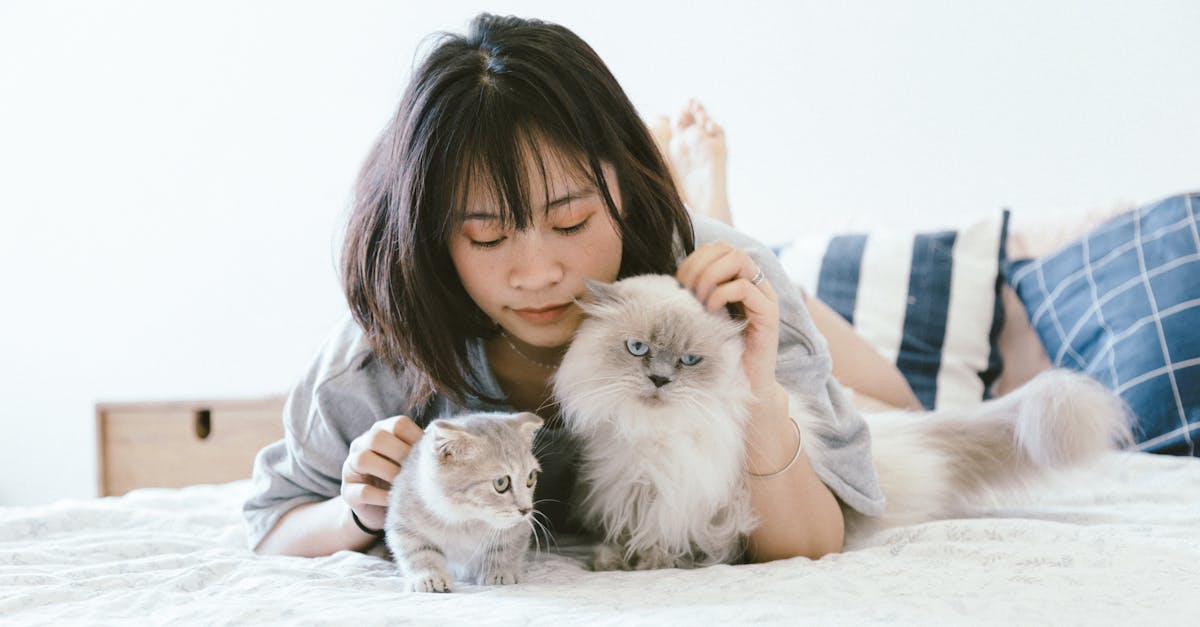 Woman Lying On Bed With Two Cats